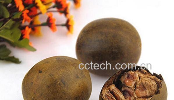 果蔬百科罗汉果泡水喝-0