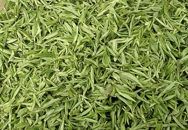 果蔬百科毛峰茶产于-0