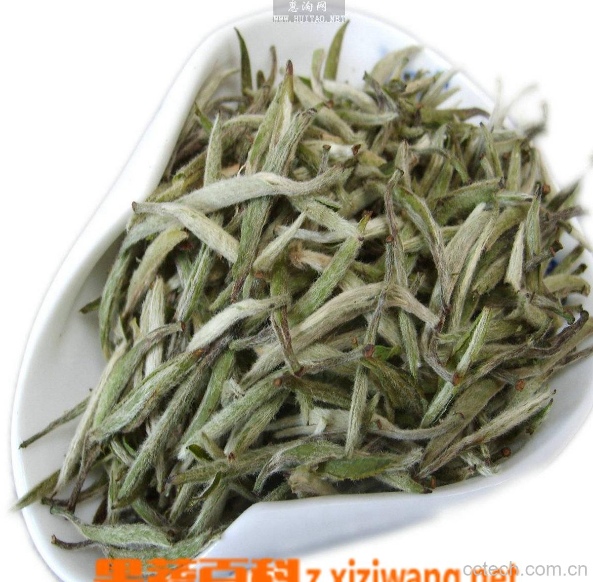 果蔬百科政和白茶-0