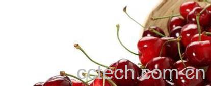 果蔬百科车厘子和樱桃的区别-0