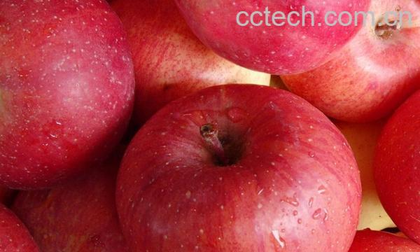 果蔬百科每天吃苹果的九大好处-0