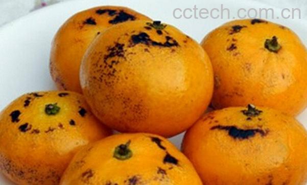 果蔬百科橘子烤着吃的功效-0