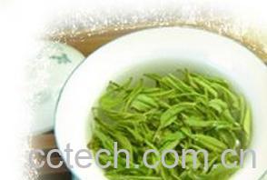 果蔬百科碧螺春外形-0