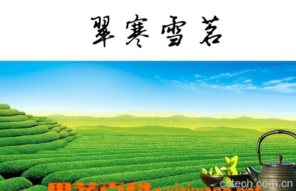 果蔬百科碧螺春原产地-0