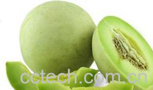 果蔬百科绿皮香瓜营养价值-0