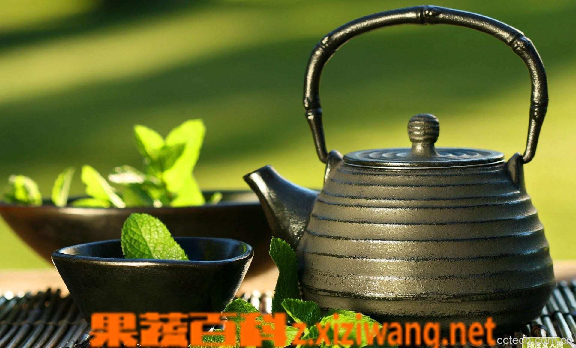 果蔬百科绿茶有哪些-0