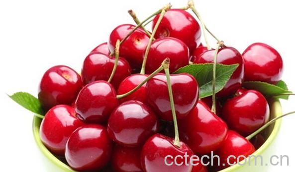 果蔬百科樱桃-0