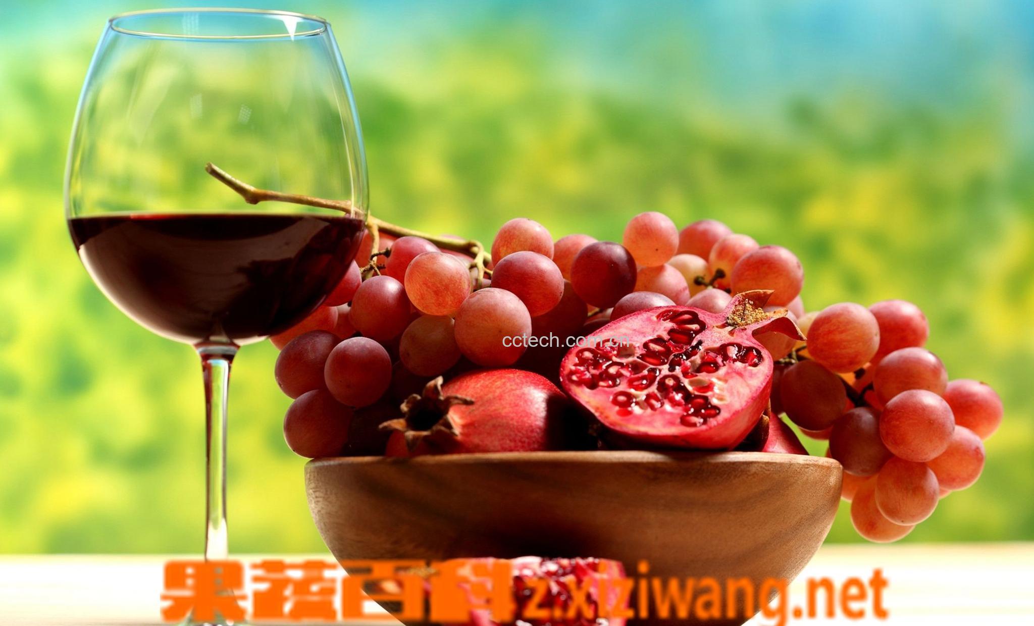 果蔬百科自制红酒木瓜汤方法教程-0