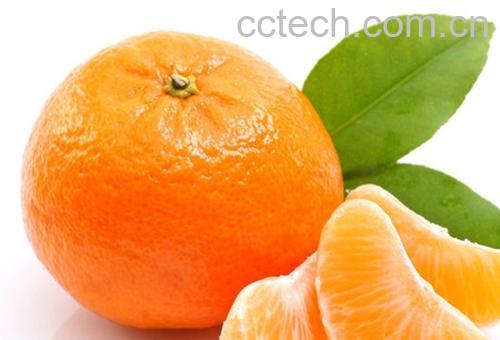 果蔬百科橘子的营养价值与功效-0