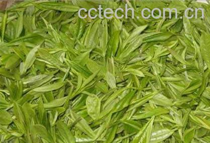 果蔬百科蒸青绿茶-0