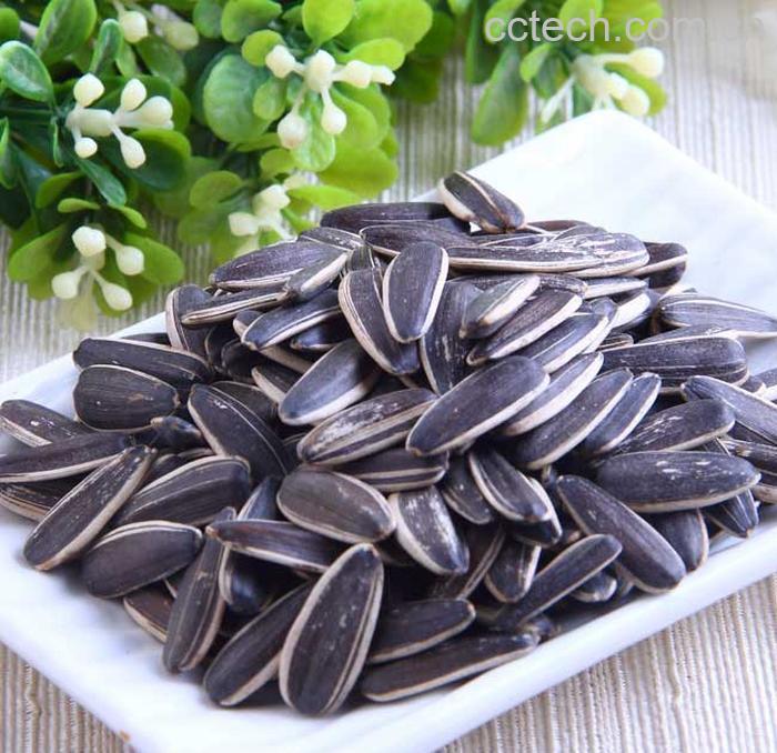 果蔬百科香瓜子的营养价值-0