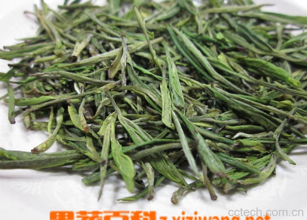 果蔬百科毛峰是什么茶-0