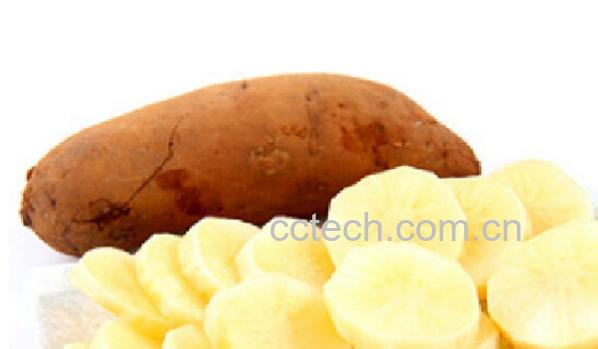 果蔬百科雪莲果怎么做好吃-0