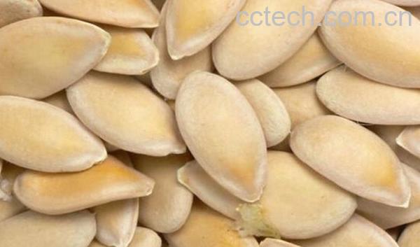 果蔬百科香瓜子的功效-0