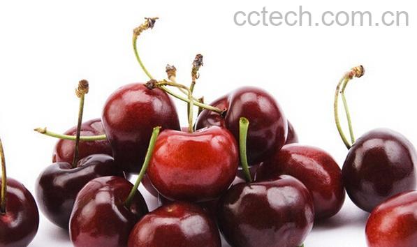 果蔬百科车厘子与樱桃的区别-0