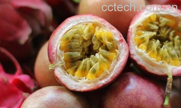 果蔬百科百香果-0