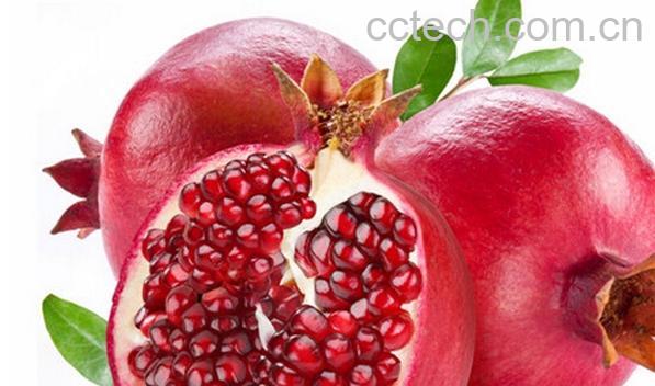 果蔬百科石榴-0