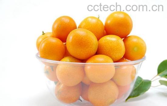 果蔬百科金桔的功效与作用及食用方法-0