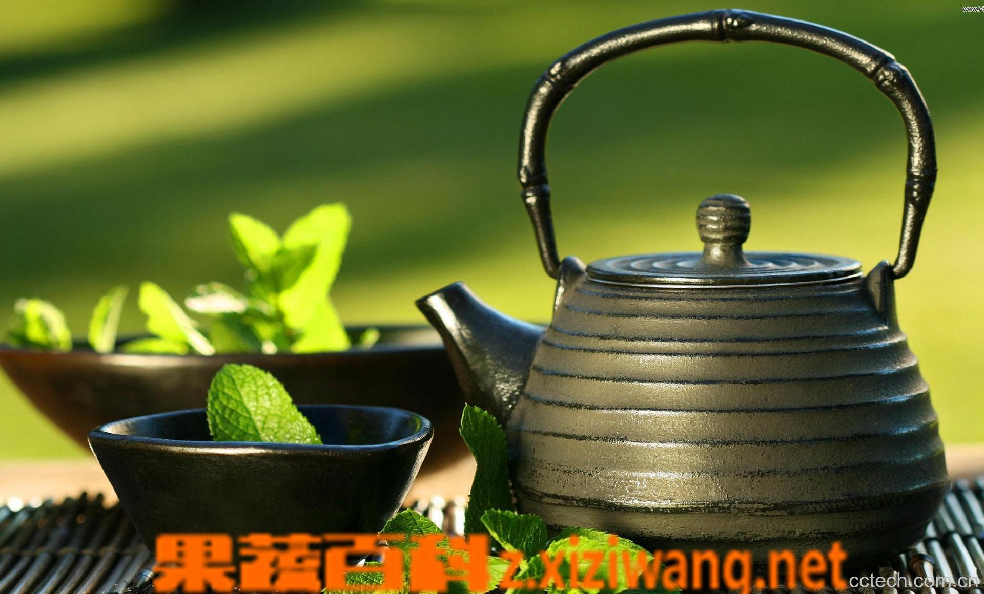 果蔬百科崂山绿茶的功效-0