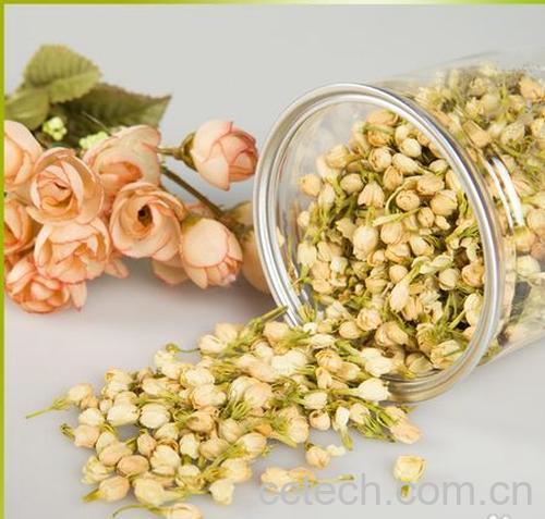 果蔬百科花茶的泡法-0