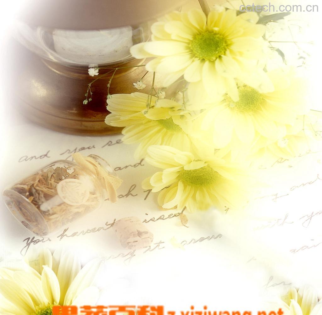 果蔬百科菊杞茶-0