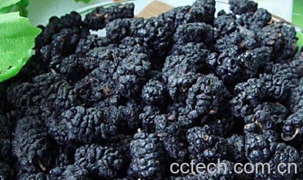 果蔬百科桑葚干怎么吃-0