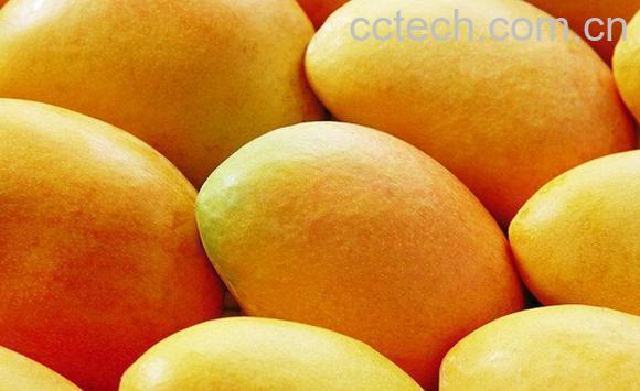 果蔬百科吃芒果后为什么不能晒太阳-0