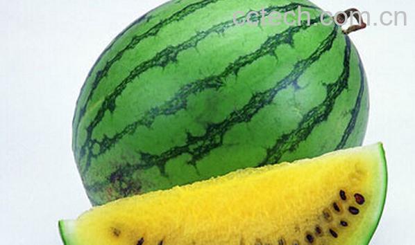 果蔬百科红瓤和黄瓤西瓜-0
