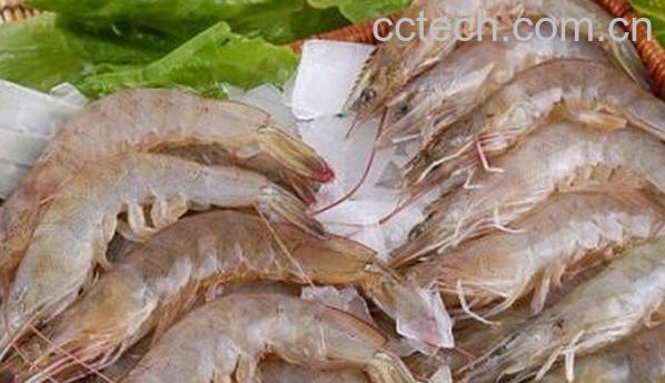 果蔬百科吃虾后不能吃的水果有什么-0