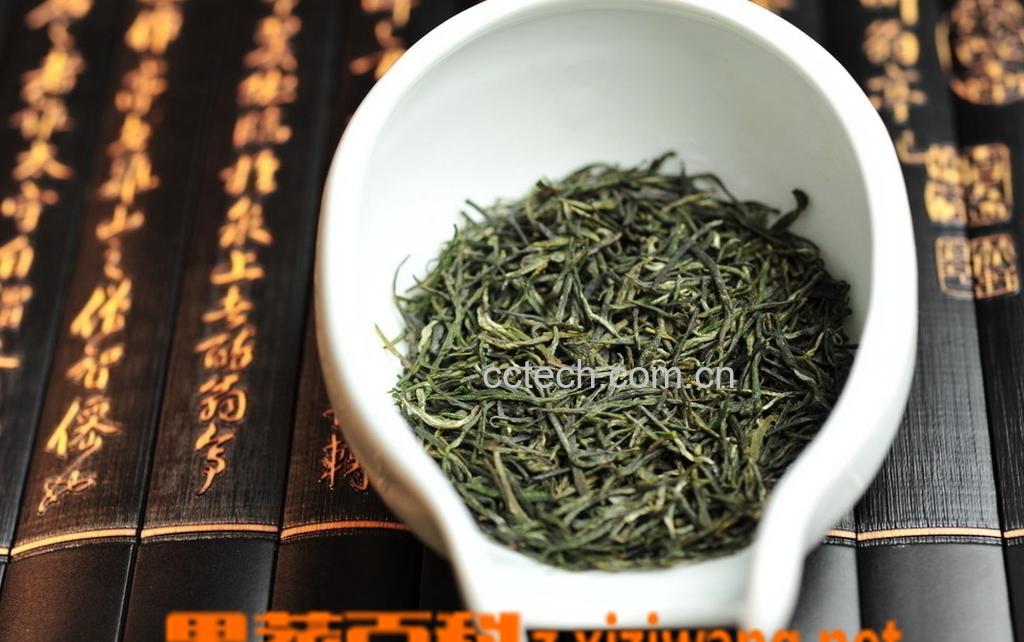 果蔬百科信阳毛尖茶-0