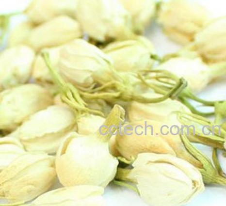 果蔬百科玫瑰茉莉花茶-0