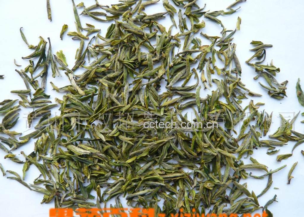 果蔬百科黄山毛峰的外形-0