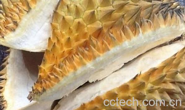 果蔬百科榴莲壳-0