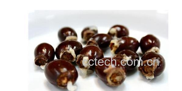 果蔬百科荔枝核的功效与作用-0