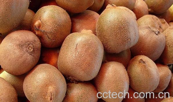 果蔬百科冬天猕猴桃怎样放才能变软-0