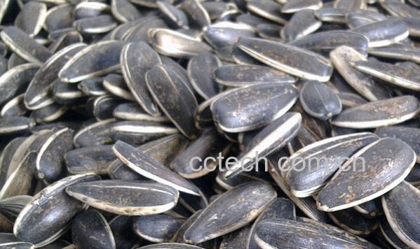 果蔬百科制作五香瓜子-0