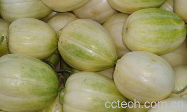 果蔬百科香瓜对人体的好处-0