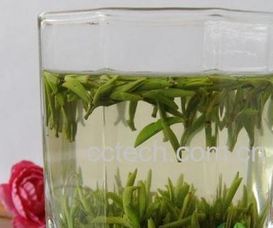 果蔬百科南山寿眉茶-0