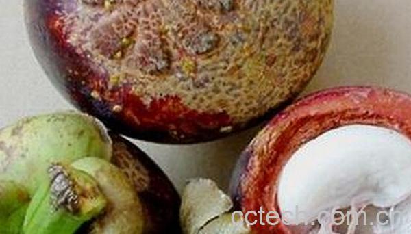 果蔬百科山竹的保存方法-0