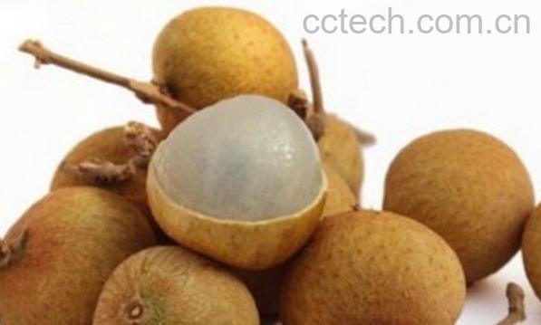 果蔬百科夏天怎么吃桂圆不上火-0