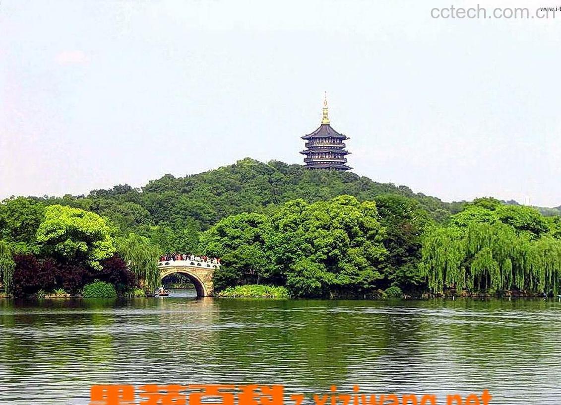 果蔬百科龙井茶产地-0