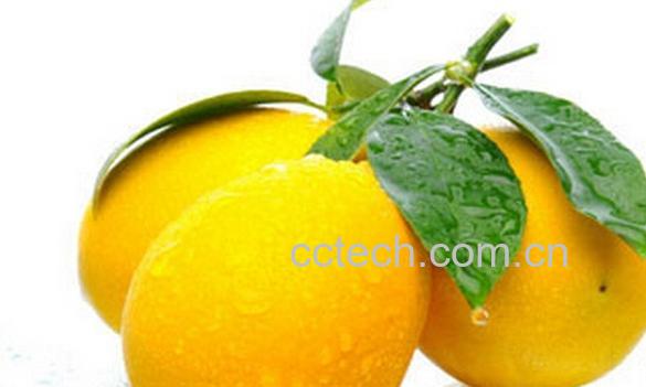 果蔬百科柠檬不能和什么一起吃-0