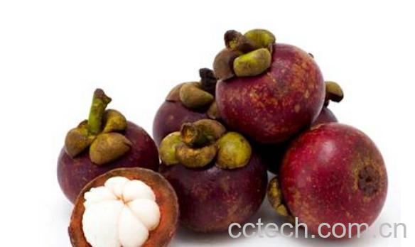 果蔬百科山竹不能和什么一起吃-0