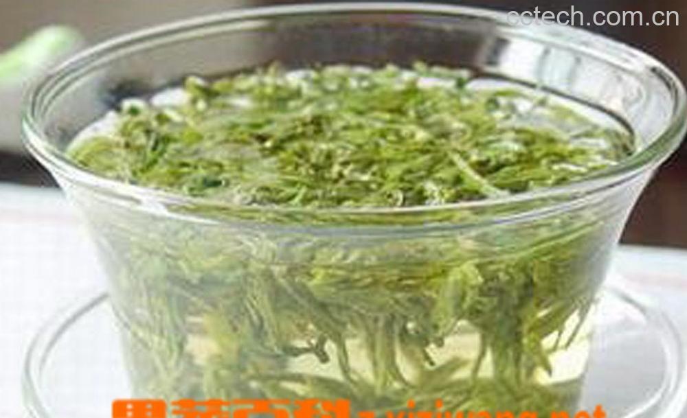 果蔬百科荷叶瘦身茶-0