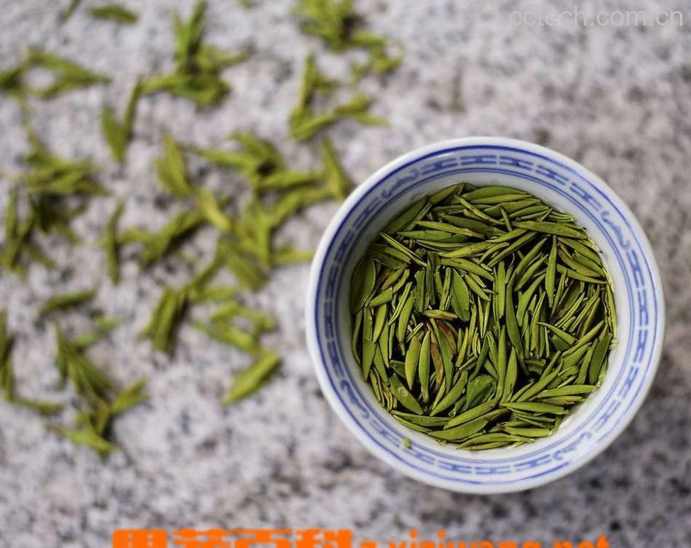 果蔬百科黄茶-0