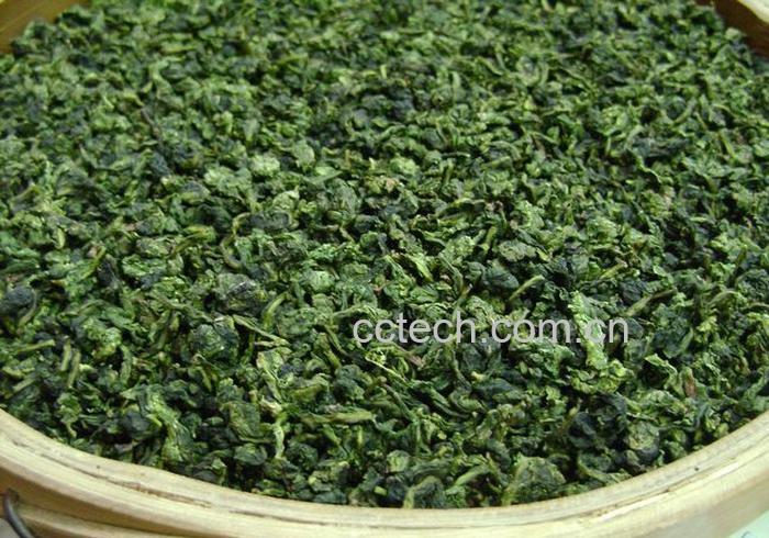 果蔬百科春茶铁观音特点-0