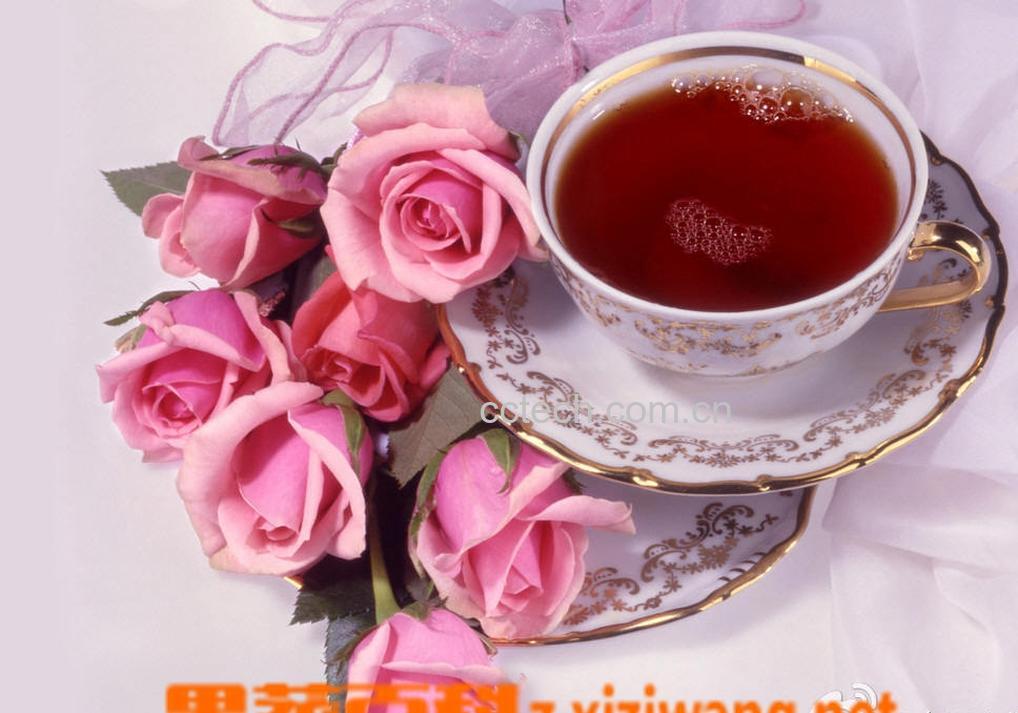 果蔬百科普洱茶的泡法-0