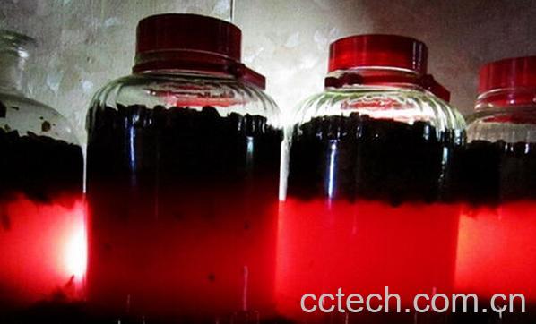 果蔬百科红提子酒的酿制方法-0