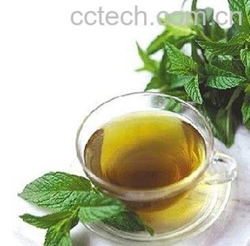 果蔬百科绿茶可以瘦身吗-0