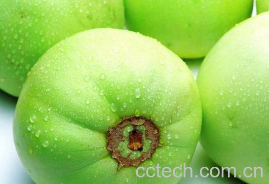 果蔬百科吃香瓜的好处和坏处-0